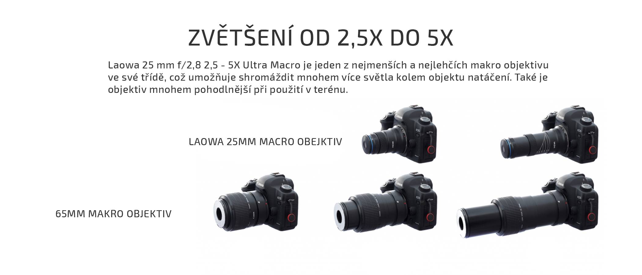 film-technika-laowa-25-mm-f-2-8-5-x-ultra-macro-25-mm-vs-65-mm